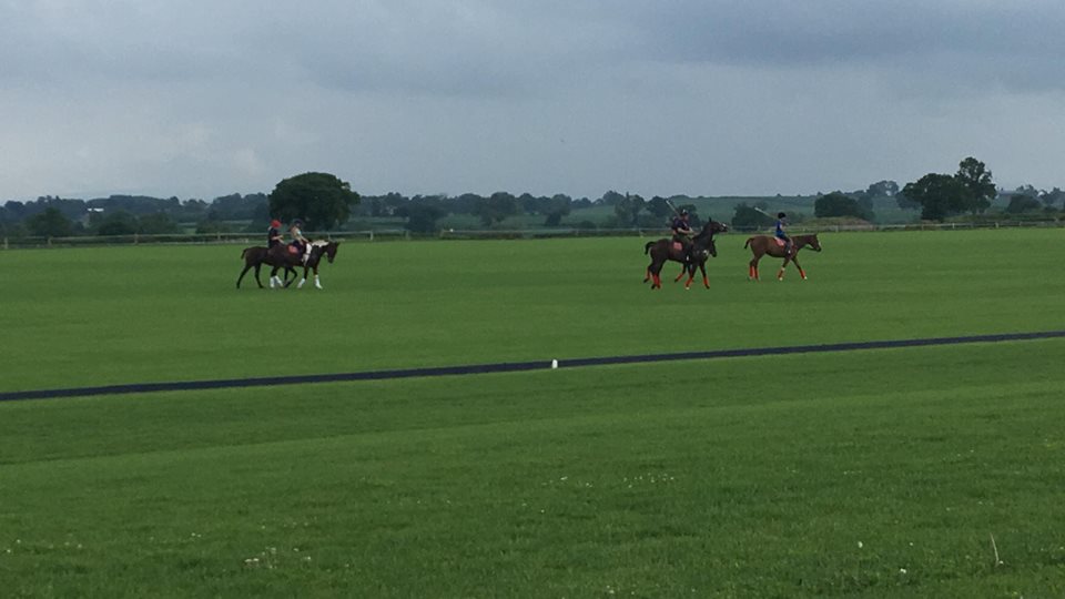 Moore Farm Polo